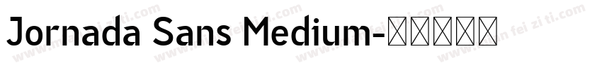 Jornada Sans Medium字体转换